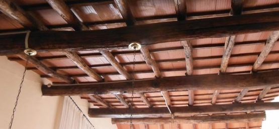 Tradhisa Control de Plagas techo en madera